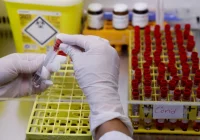 Ekspert: SARS-CoV-2 mutuje wolniej niż wirus grypy czy HIV, a jego mutacje nie muszą być groźne - zdjęcie główne