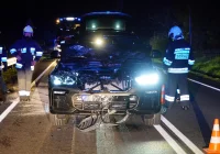 Groźnie wyglądająca kolizja z jeleniem - zdjęcie główne