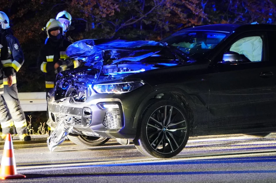 Groźnie wyglądająca kolizja z jeleniem - zdjęcie 2