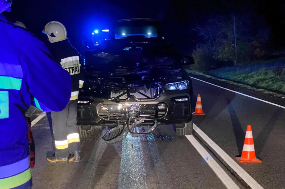 Groźnie wyglądająca kolizja z jeleniem - zdjęcie 3