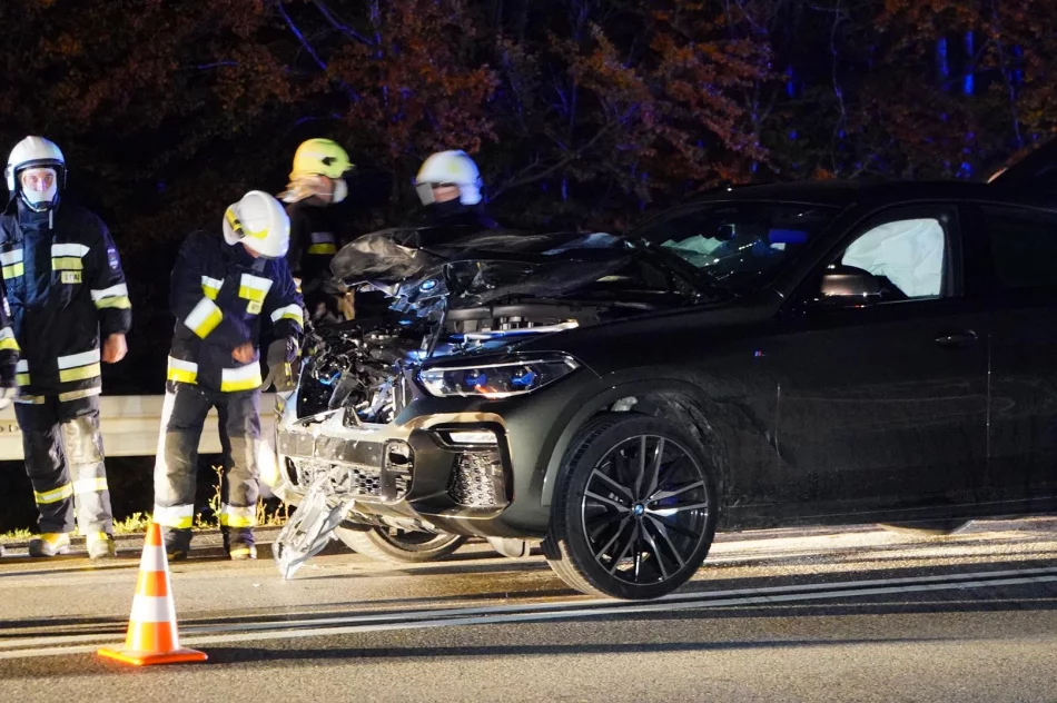 Groźnie wyglądająca kolizja z jeleniem - zdjęcie 4