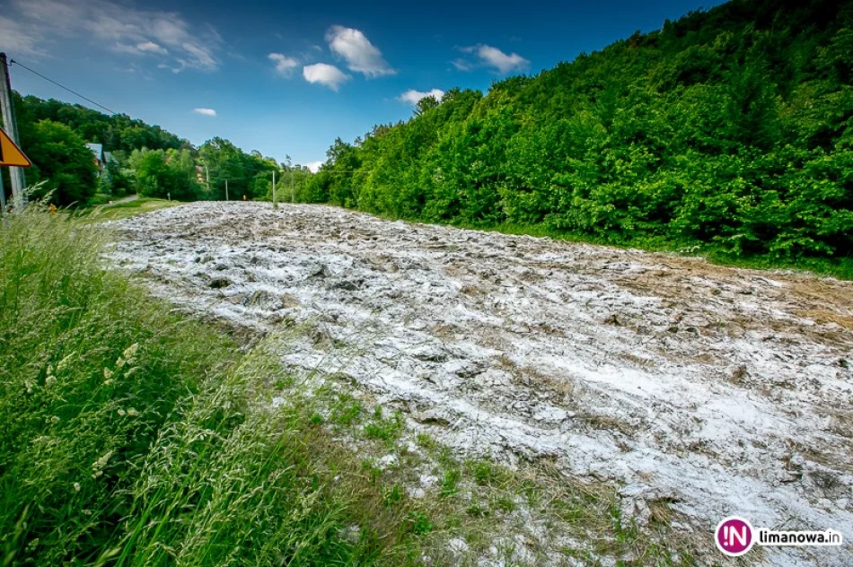 Rozrzucony „nawóz” wywołuje choroby u ludzi? - zdjęcie 2
