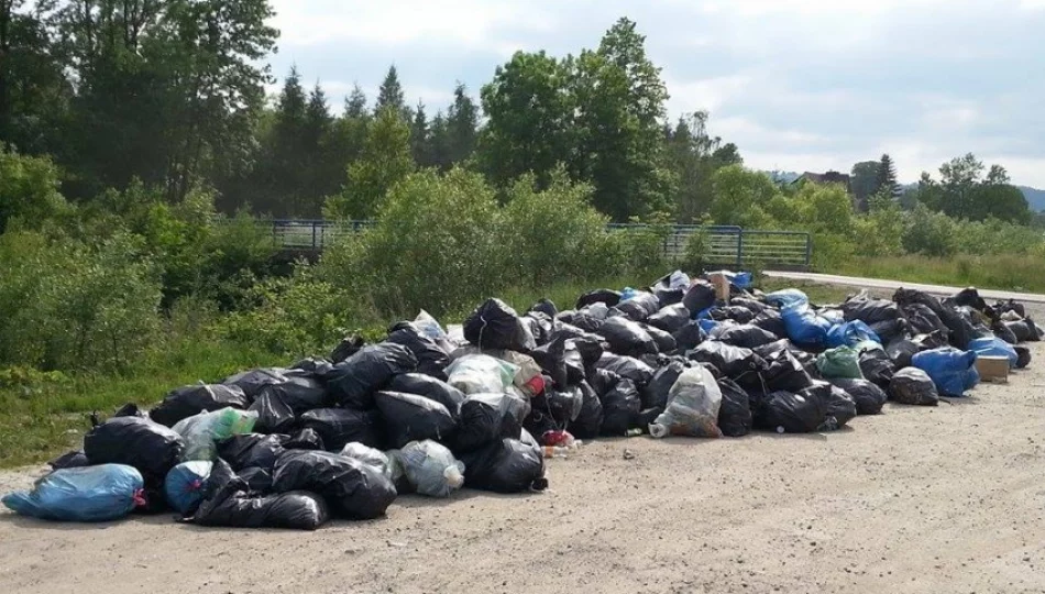 Sterty śmieci przy drodze - mieszkańcy zwożą je zbyt wcześnie - zdjęcie 1