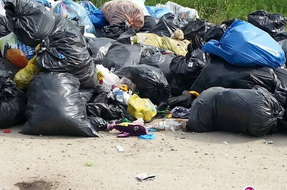 Sterty śmieci przy drodze - mieszkańcy zwożą je zbyt wcześnie - zdjęcie 2