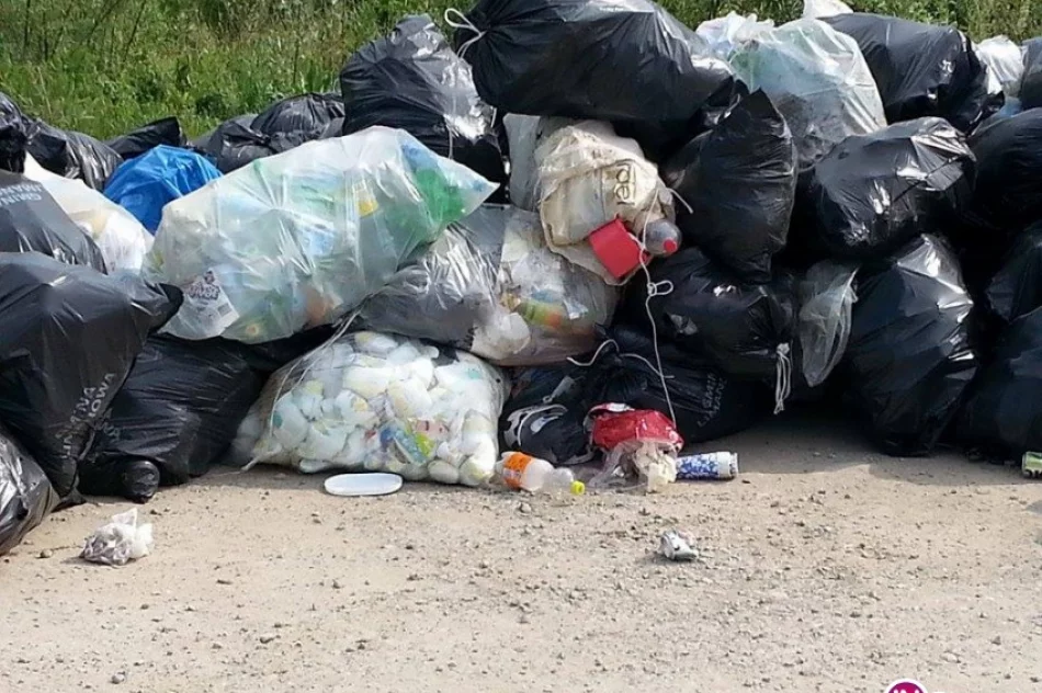 Sterty śmieci przy drodze - mieszkańcy zwożą je zbyt wcześnie - zdjęcie 3