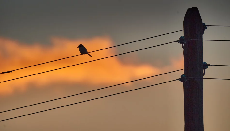 Rząd chce zablokować podwyżki cen prądu - zdjęcie 1