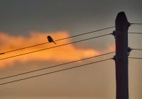 Rząd chce zablokować podwyżki cen prądu - zdjęcie główne