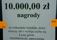 10 tys. zł nagrody za wskazanie wandala - zdjęcie główne