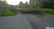 Drzewo spadło na drogę - zdjęcie 3