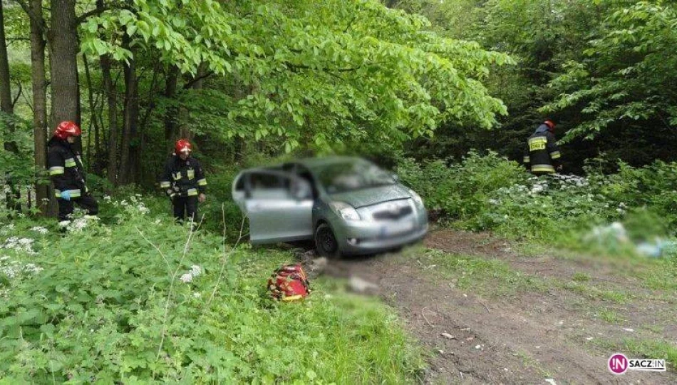 Kulisy tragedii z tylickiego lasu - zdjęcie 1