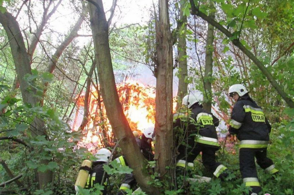 W Muszynie doszczętnie spłonęła altana - zdjęcie 2