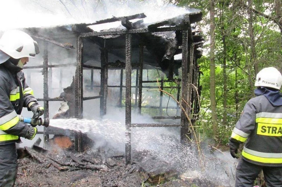 W Muszynie doszczętnie spłonęła altana - zdjęcie 3