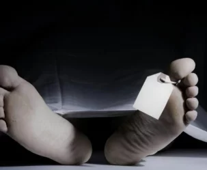 Czas zgonu, miejsce zbrodni, DNA ofiary - co owady mówią entomologom sądowym - zdjęcie główne