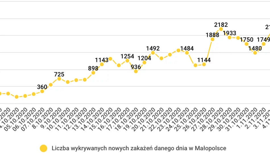 W samej Małopolsce w dobę zmarło aż 77 osób. Niepokojący rekord zakażeń  - zdjęcie 1