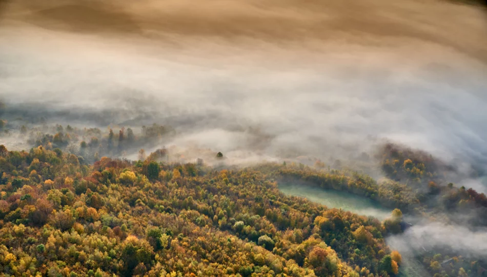 Gęsta mgła w Małopolsce. IMGW ostrzega - zdjęcie 1