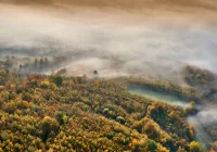 Ostrzeżenie meteorologiczne: gęsta mgła na terenie powiatu - zdjęcie główne