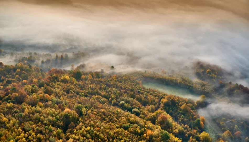 Ostrzeżenie meteorologiczne: gęsta mgła na terenie powiatu - zdjęcie 1