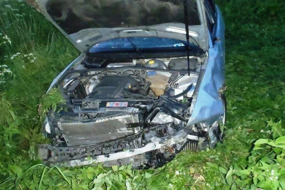 Wola Krogulecka - auto wypadło z drogi - zdjęcie 2