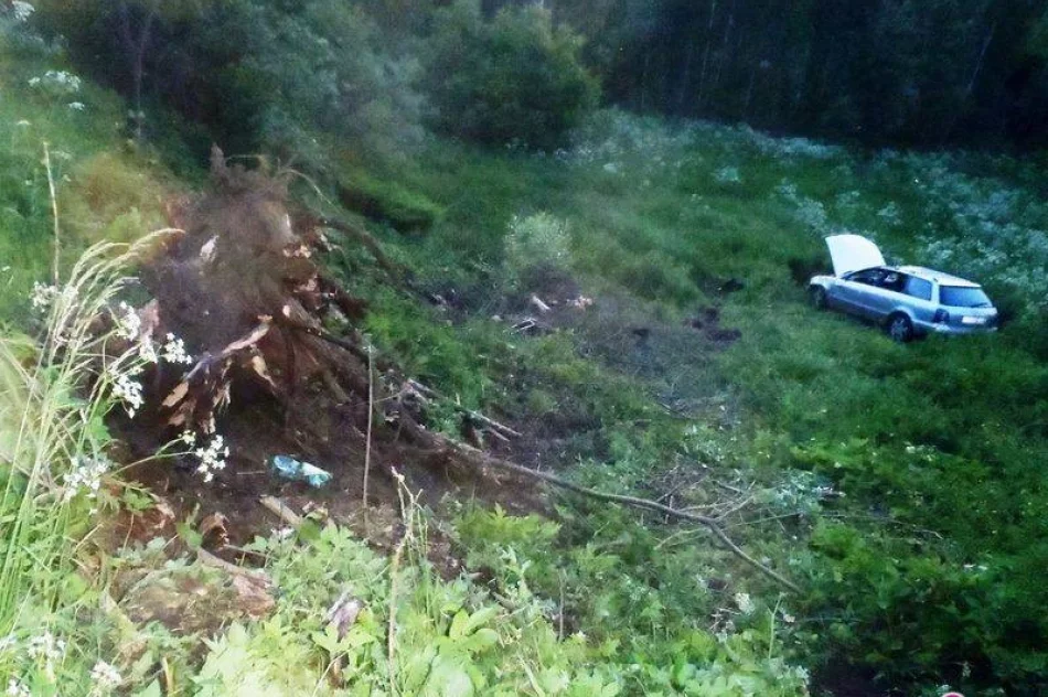 Wola Krogulecka - auto wypadło z drogi - zdjęcie 3