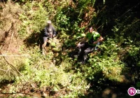 79-latek dwie noce spędził w lesie. Został szczęśliwie odnaleziony - zdjęcie główne