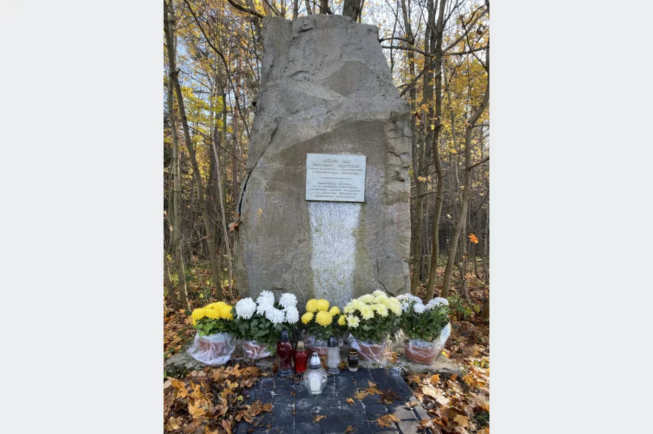 Chryzantemy w miejscach pamięci narodowej - zdjęcie 6