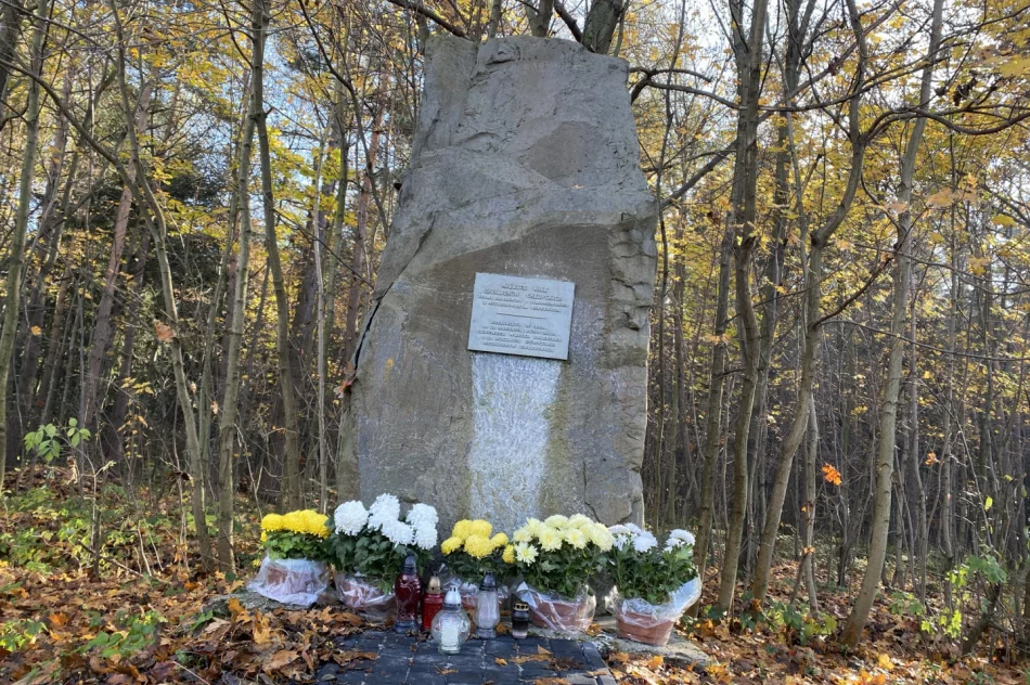 Chryzantemy w miejscach pamięci narodowej - zdjęcie 7