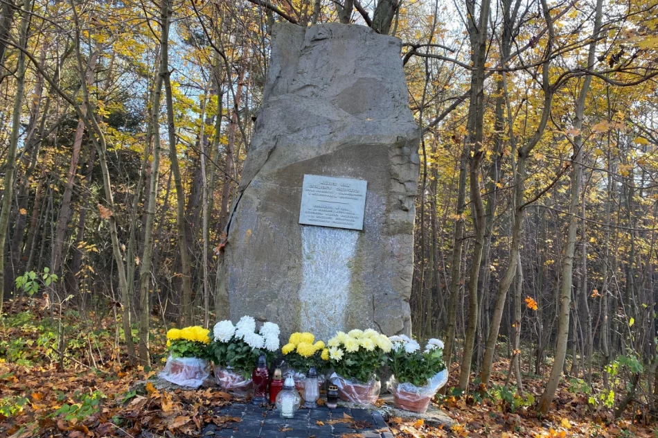 Chryzantemy w miejscach pamięci narodowej - zdjęcie 8