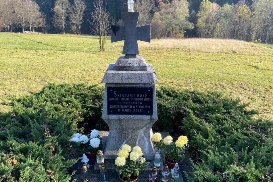 Chryzantemy w miejscach pamięci narodowej - zdjęcie 12