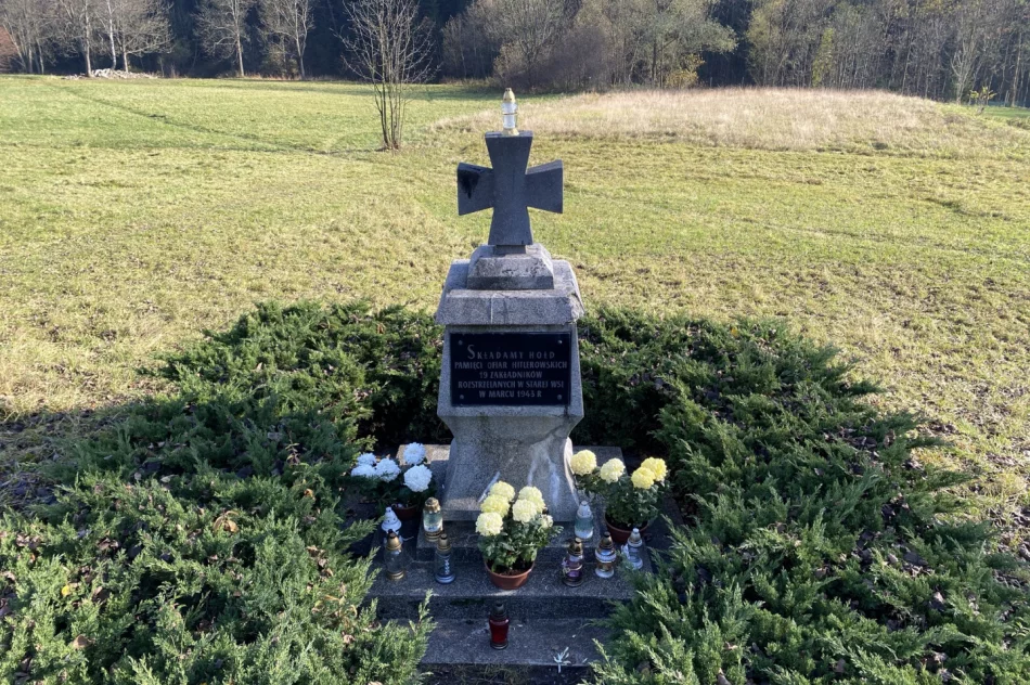 Chryzantemy w miejscach pamięci narodowej - zdjęcie 13