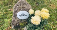 Gmina złożyła chryzantemy od poszkodowanych przedsiębiorców w miejscach pamięci - zdjęcie 3