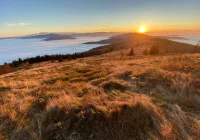 IMiGW ostrzega o silnych mgłach - zdjęcie główne