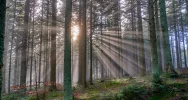 Dziś dobry czas na wyjście w góry - tam świeci słońce! Propozycje spacerów - zdjęcie 2