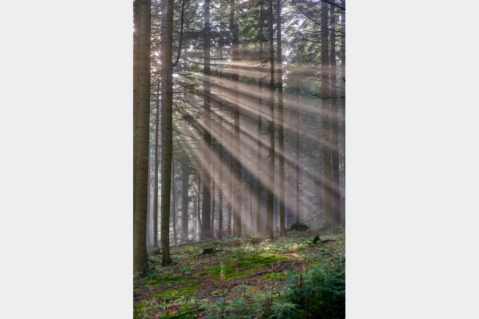 Gdy w dolinie mgły - zdjęcie 3