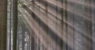 Dziś dobry czas na wyjście w góry - tam świeci słońce! Propozycje spacerów - zdjęcie 3