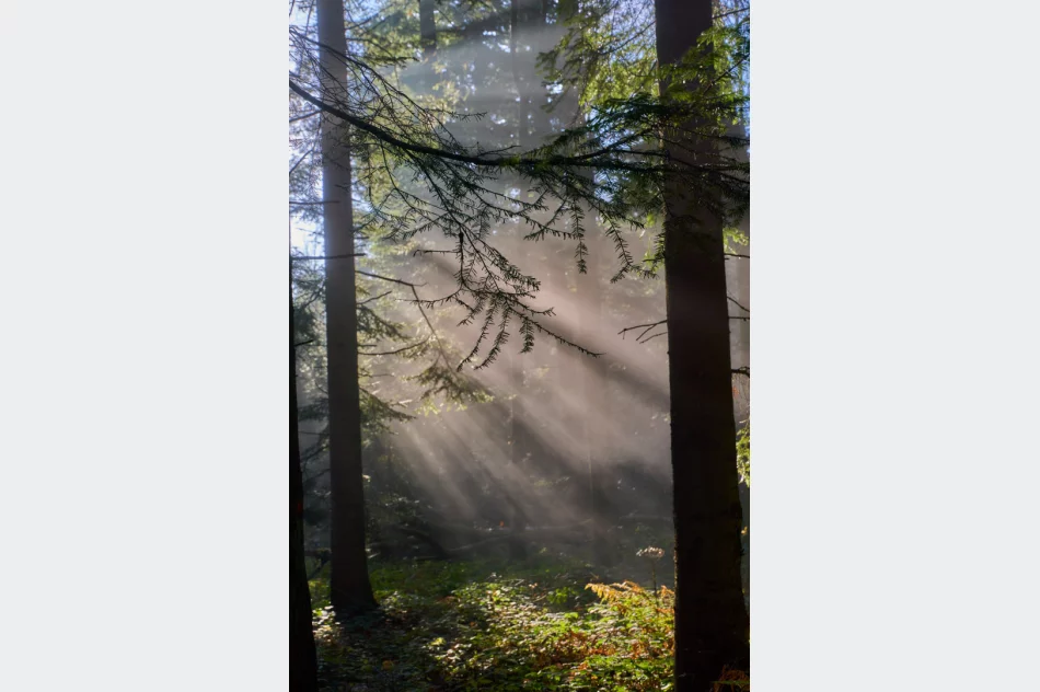 Gdy w dolinie mgły - zdjęcie 4