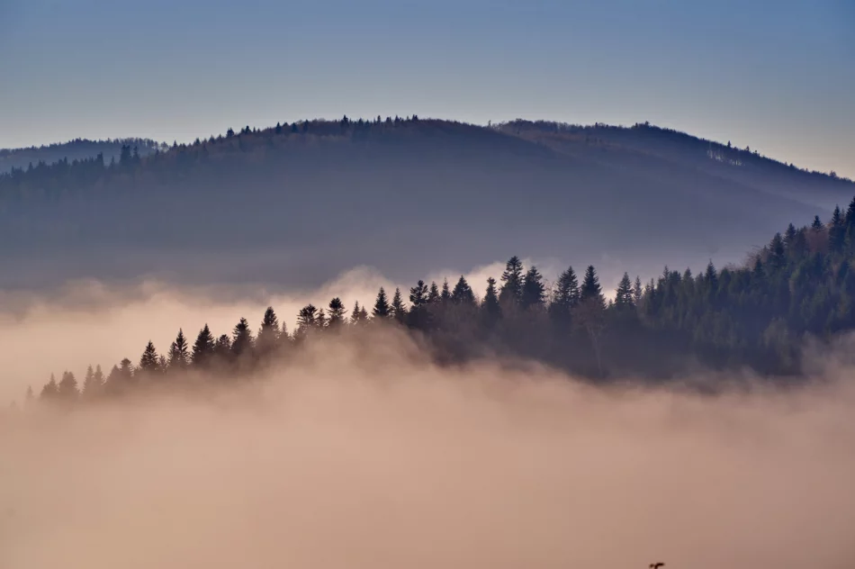 Gdy w dolinie mgły - zdjęcie 8