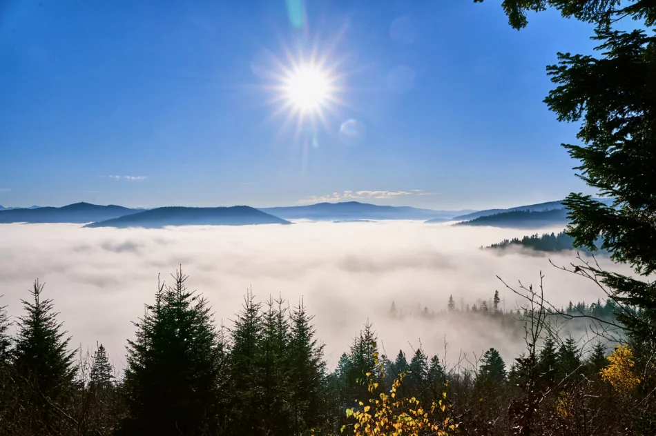 Gdy w dolinie mgły - zdjęcie 9