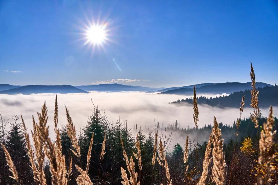 Gdy w dolinie mgły - zdjęcie 10