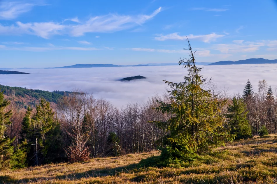 Gdy w dolinie mgły - zdjęcie 12