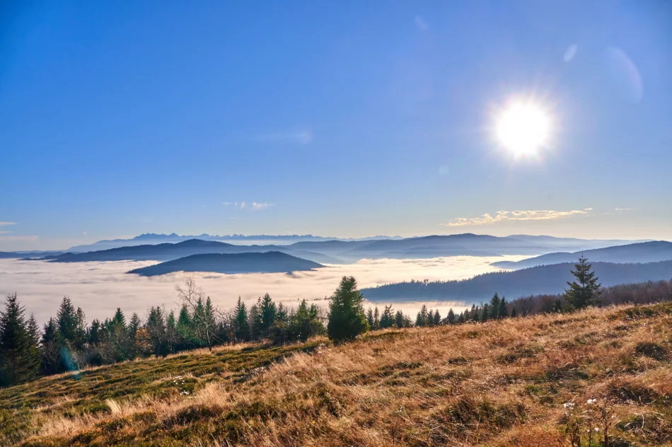 Gdy w dolinie mgły - zdjęcie 13