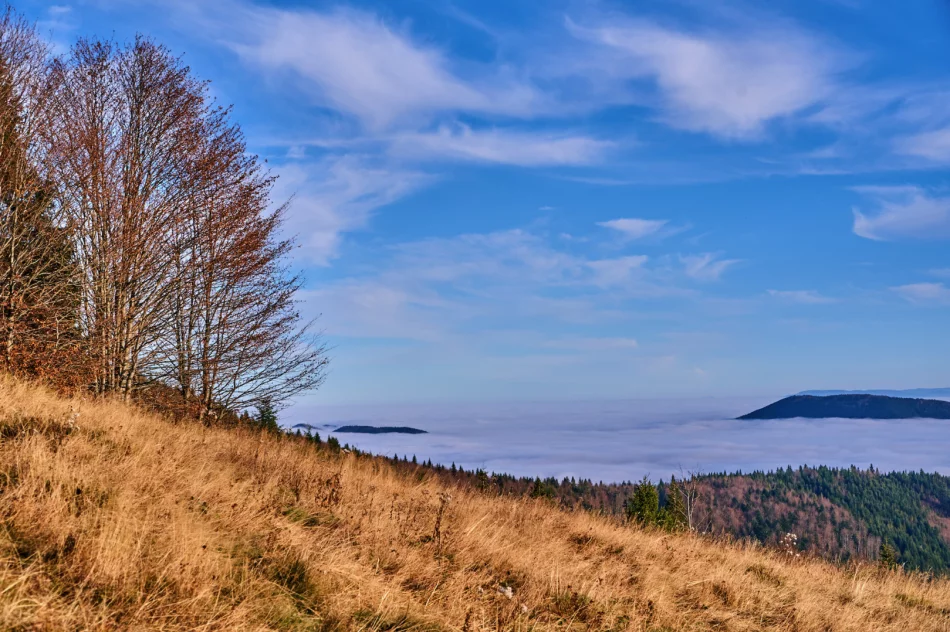 Gdy w dolinie mgły - zdjęcie 14