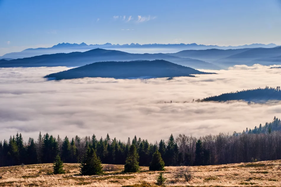 Gdy w dolinie mgły - zdjęcie 15