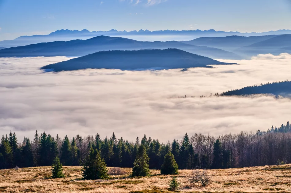 Gdy w dolinie mgły - zdjęcie 16