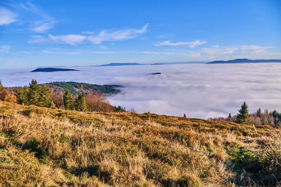 Gdy w dolinie mgły - zdjęcie 18