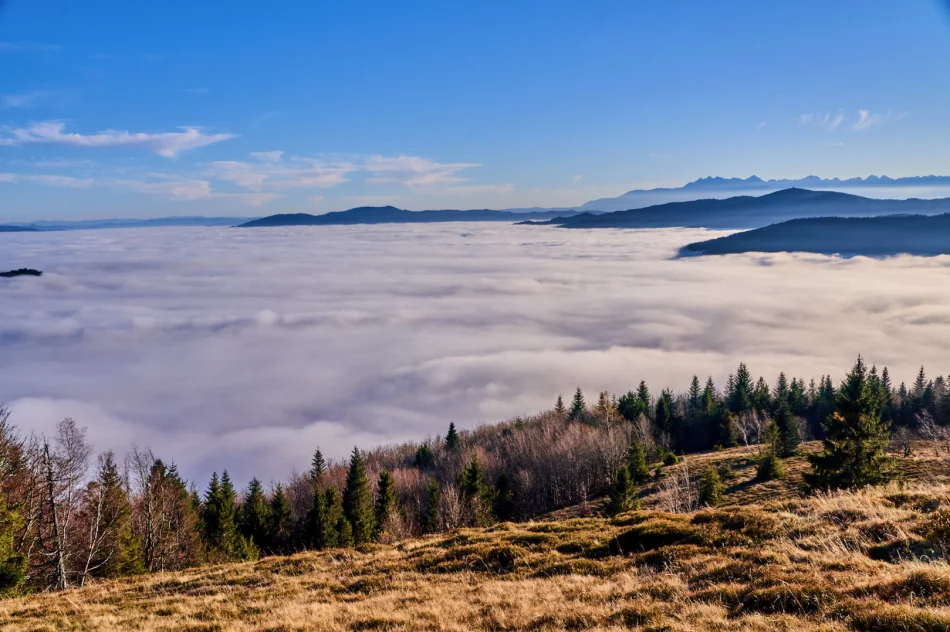 Gdy w dolinie mgły - zdjęcie 20