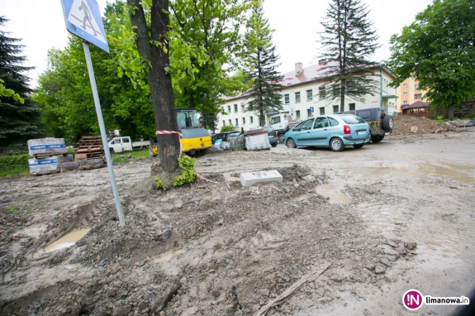 Potwierdziły się obawy: wszędzie błoto, więc chodzą ulicą - zdjęcie 2