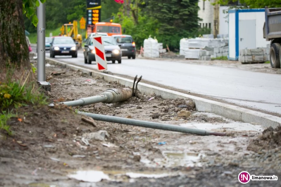 Potwierdziły się obawy: wszędzie błoto, więc chodzą ulicą - zdjęcie 3