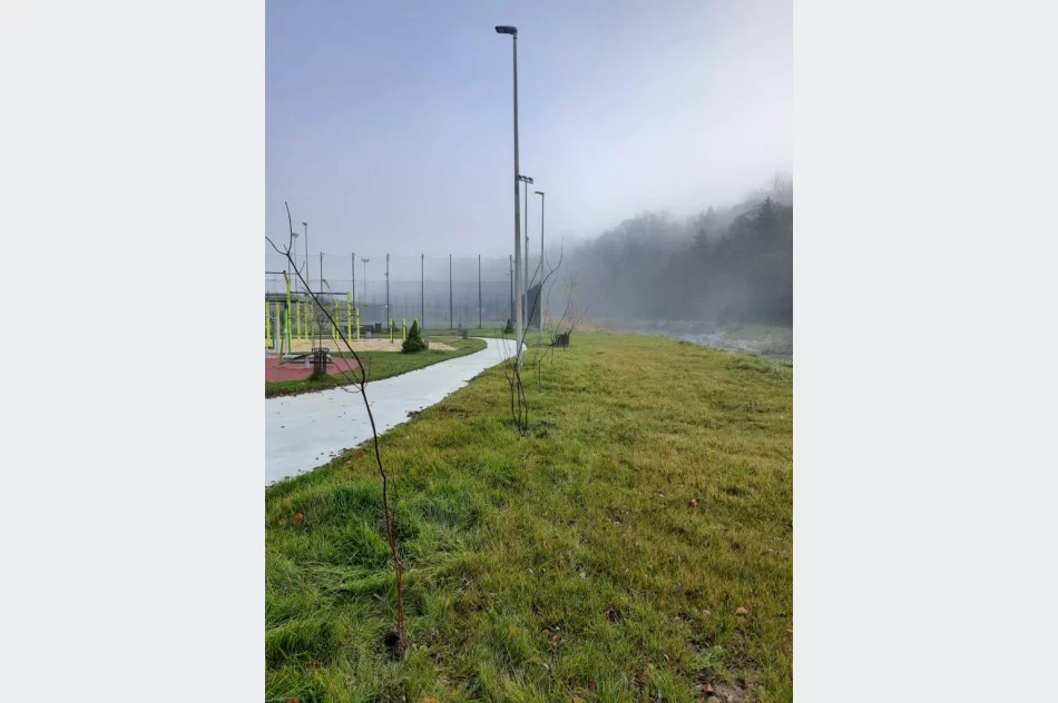 Miododajne rośliny trafiły do samorządów - trwa akcja nasadzeń - zdjęcie 2