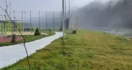 Miododajne rośliny trafiły do samorządów - trwa akcja nasadzeń - zdjęcie 2