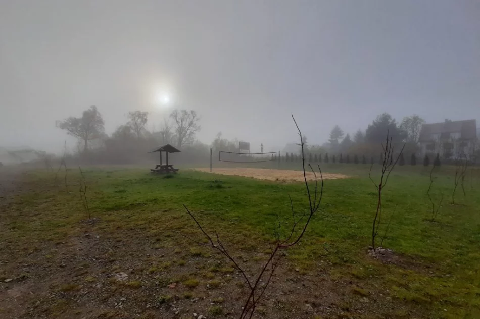 Miododajne rośliny trafiły do samorządów - trwa akcja nasadzeń - zdjęcie 3